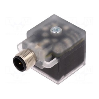 Adapter | M12 male,DIN 43650 plug | PIN: 3 | angled 90° | Case: form A