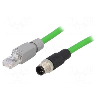 Adapter | M12 male,RJ45 plug | D code-Ethernet | PIN: 4 | straight | 2m