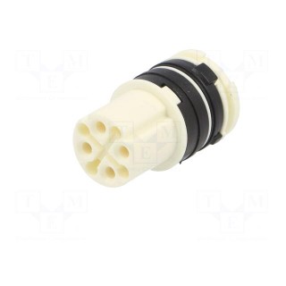 Connector: circular | contact insert | female | for cable