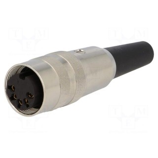 Connector: M16 | plug | female | soldering | for cable | PIN: 5 | 5A | 60V