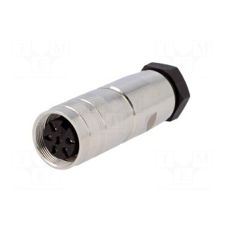 Connector: M16 | plug | female | soldering | for cable | PIN: 6 | 5A | 300V