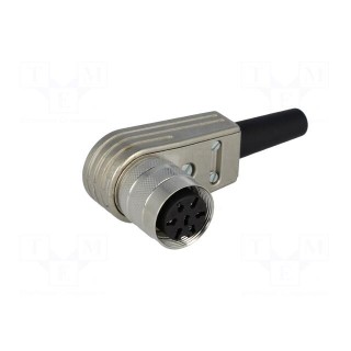 Connector: M16 | plug | female | soldering | for cable | PIN: 7 | 5A | 300V