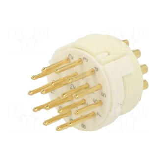 Connector: M23 | contact insert | PIN: 16 | male | soldering | for cable