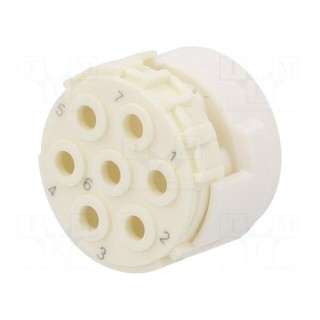 Connector: M23 | contact insert | PIN: 7 | male | for cable