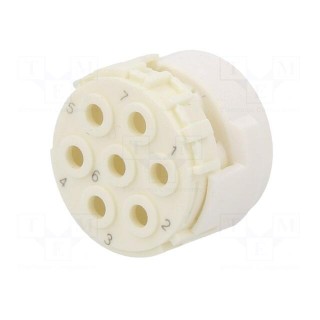 Connector: M23 | contact insert | PIN: 7 | male | for cable