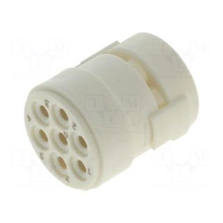 Connector: M23 | contact insert | PIN: 7 | female | for cable