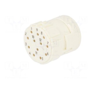 Connector: M23 | contact insert | PIN: 12 | female | for cable | 8A | 200V