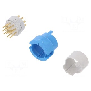 Connector: M23 | contact insert | PIN: 12 | male | soldering | for cable