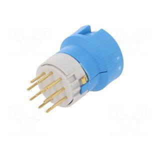 Connector: M23 | contact insert | PIN: 12 | male | soldering | for cable