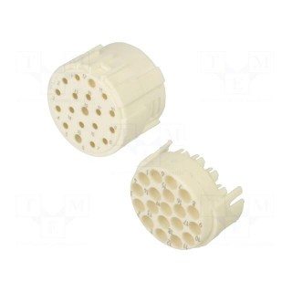 Connector: M23 | contact insert | PIN: 19(3+16) | female | crimped
