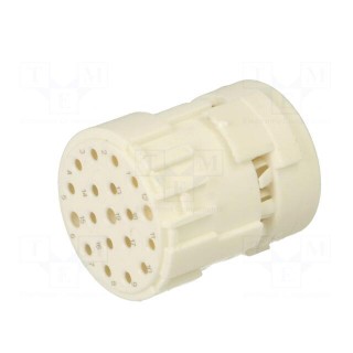 Connector: M23 | contact insert | PIN: 19(3+16) | female | crimped