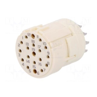 Connector: M23 | PIN: 19(3+16) | female | soldering | 100V | Inom 1: 10A