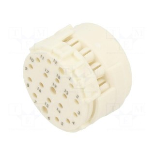 Connector: M23 | contact insert | PIN: 19(3+16) | male | crimped | 100V