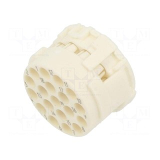 Connector: M23 | contact insert | PIN: 19(3+16) | male | crimped | 100V