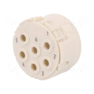 Connector: M23 | contact insert | PIN: 6 | male | crimped | w/o contacts