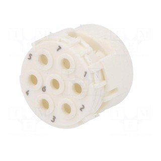 Connector: M23 | contact insert | PIN: 7 | male | crimped | w/o contacts