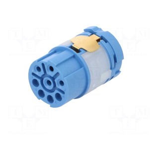 Connector: M23 | contact insert | PIN: 8(4+4) | female | for cable