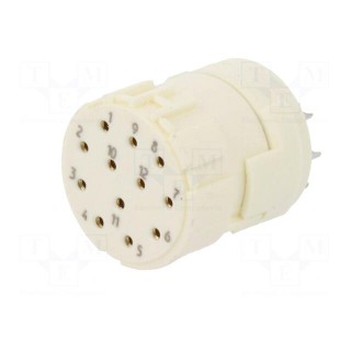 Connector: M23 | PIN: 12 | female | soldering | 200V | 8A | Series: Han M23