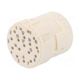 Connector: M23 | contact insert | PIN: 17 | female | crimped | 160V | 8A