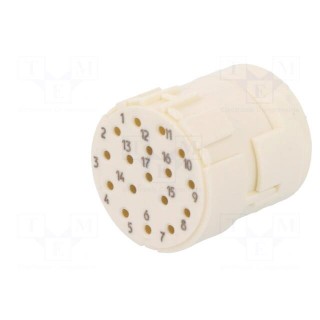 Connector: M23 | PIN: 17 | female | crimped | w/o contacts | 160V | 8A