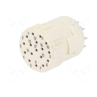 Connector: M23 | PIN: 17 | female | soldering | 160V | 8A | Series: Han M23
