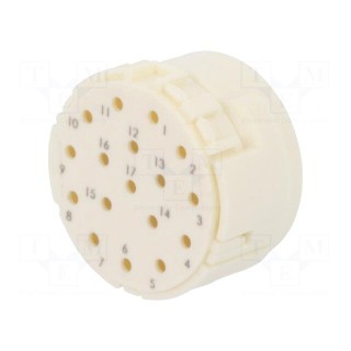Connector: M23 | PIN: 17 | male | crimped | w/o contacts | 160V | 8A