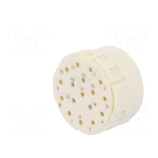 Connector: M23 | PIN: 17 | male | crimped | w/o contacts | 160V | 8A