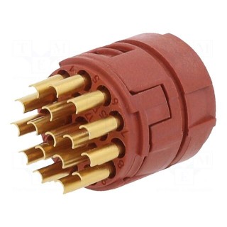 Connector: M23 | PIN: 17 | female | soldering | Series: M23