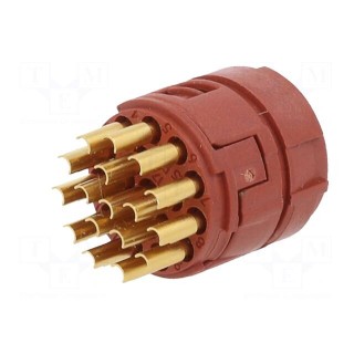 Connector: M23 | contact insert | PIN: 17 | soldering | 7A | 50V