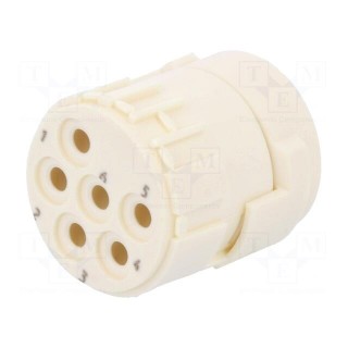 Connector: M23 | contact insert | PIN: 6 | female | crimped | 300V | 20A