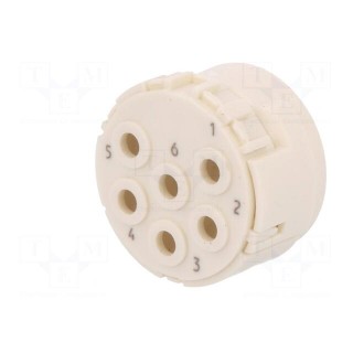 Connector: M23 | contact insert | PIN: 6 | male | crimped | w/o contacts