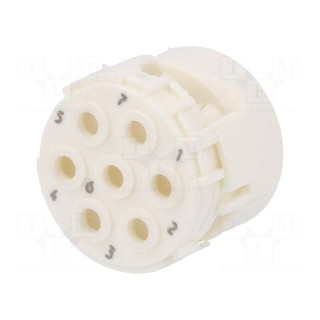 Connector: M23 | contact insert | PIN: 7 | male | crimped | w/o contacts