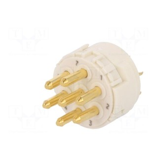 Connector: M23 | contact insert | PIN: 7 | male | soldering | 300V | 20A
