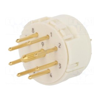 Connector: M23 | PIN: 9(1+8) | male | soldering | 200V | Inom 1: 20A