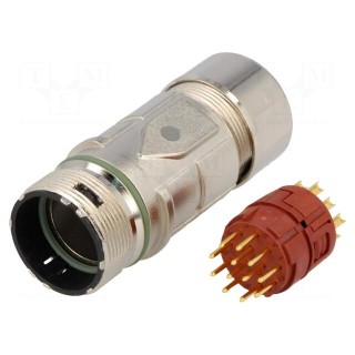 Connector: M23 | plug | PIN: 12 | male | soldering | for cable | straight