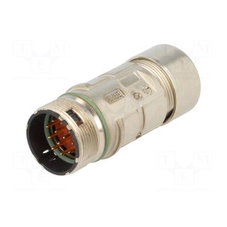 Connector: M23 | plug | PIN: 12 | male | soldering | for cable | straight