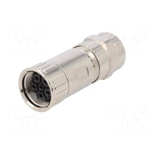 Connector: M23 | plug | PIN: 6 | female | crimped | for cable | straight