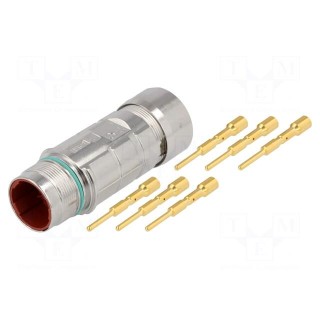 Connector: M23 | plug | PIN: 6 | male | crimped | for cable | straight | 25A