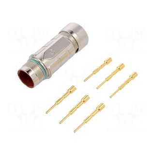 Connector: M23 | plug | PIN: 6 | male | crimped | for cable | straight | 25A
