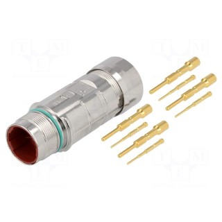Connector: M23 | plug | PIN: 8(4+4) | male | crimped | for cable | IP68