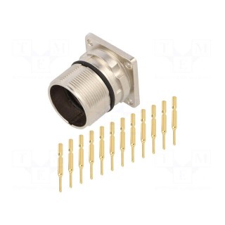 Connector: M23 | socket | PIN: 12 | male | crimped | straight | 10A | IP67