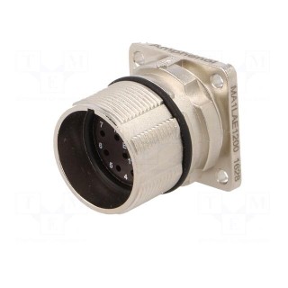 Connector: M23 | socket | PIN: 12 | male | crimped | straight | 10A | IP67