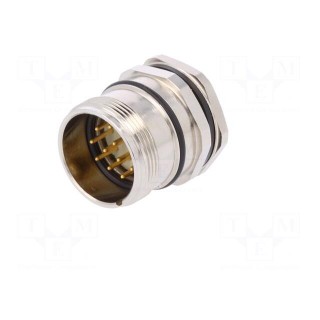 Connector: M23 | socket | PIN: 12 | male | soldering | straight | 8A | IP67