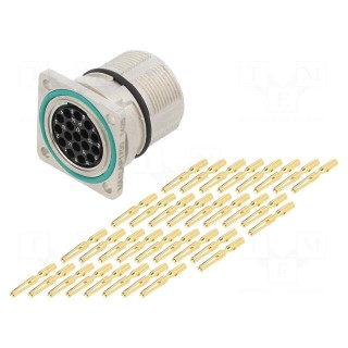 Connector: M23 | socket | PIN: 17 | female | crimped | straight | 9A | IP67