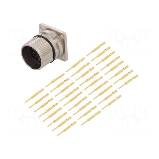 Connector: M23 | socket | PIN: 17 | male | crimped | straight | 9A | IP67