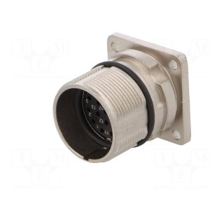 Connector: M23 | socket | PIN: 17 | male | crimped | straight | 9A | IP67