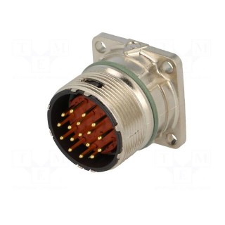 Connector: M23 | socket | PIN: 17 | male | soldering | straight | 7A | IP68