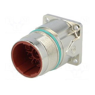 Connector: M23 | socket | PIN: 8(4+4) | male | crimped | straight | IP68