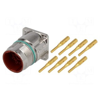 Connector: M23 | socket | PIN: 8(4+4) | male | crimped | straight | IP68
