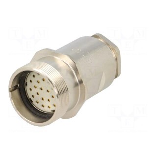 Connector: M27 | ZYLIN | plug | female | soldering | for cable | PIN: 26